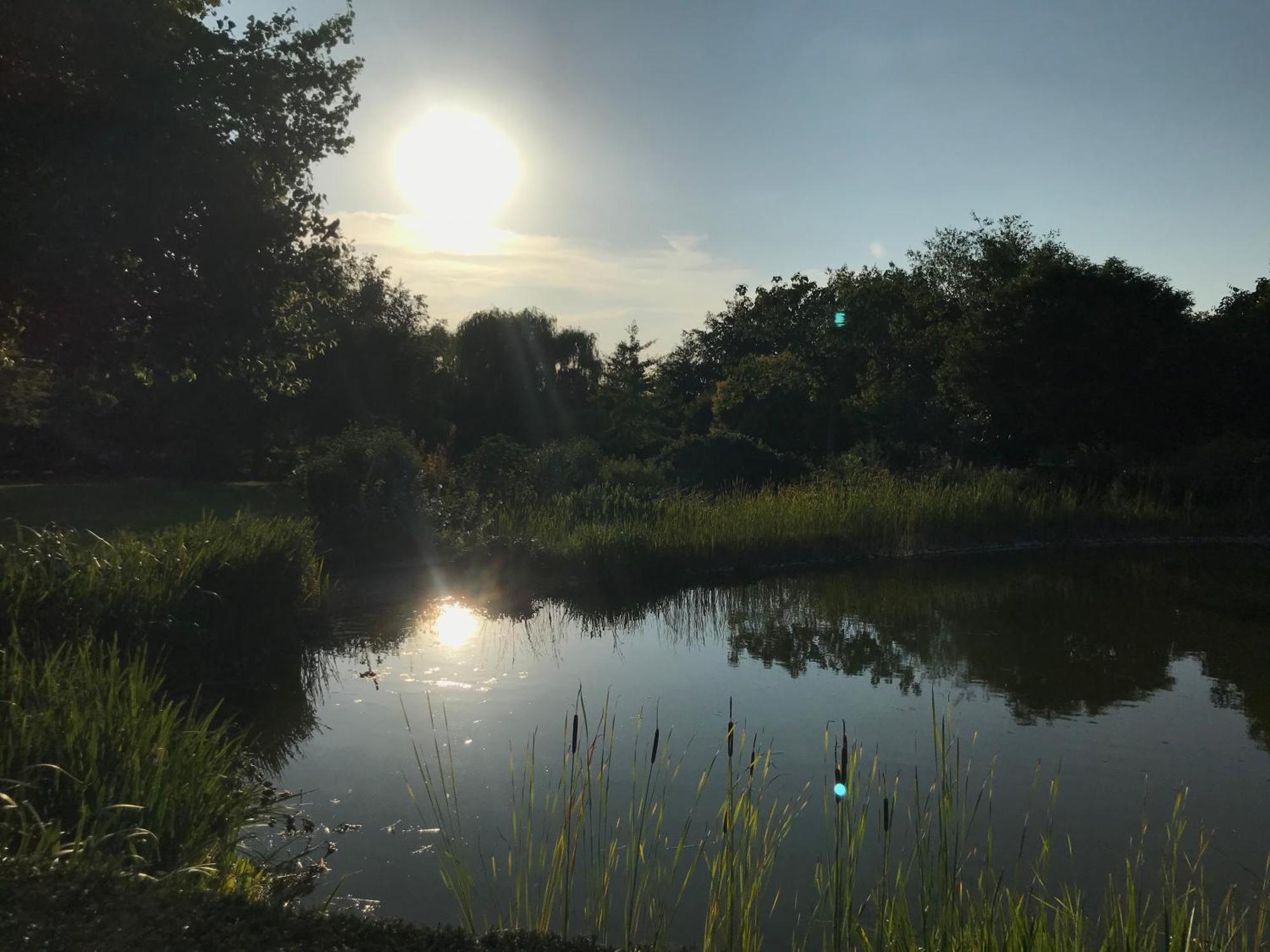 Imagine B&B Wortegem Exteriér fotografie