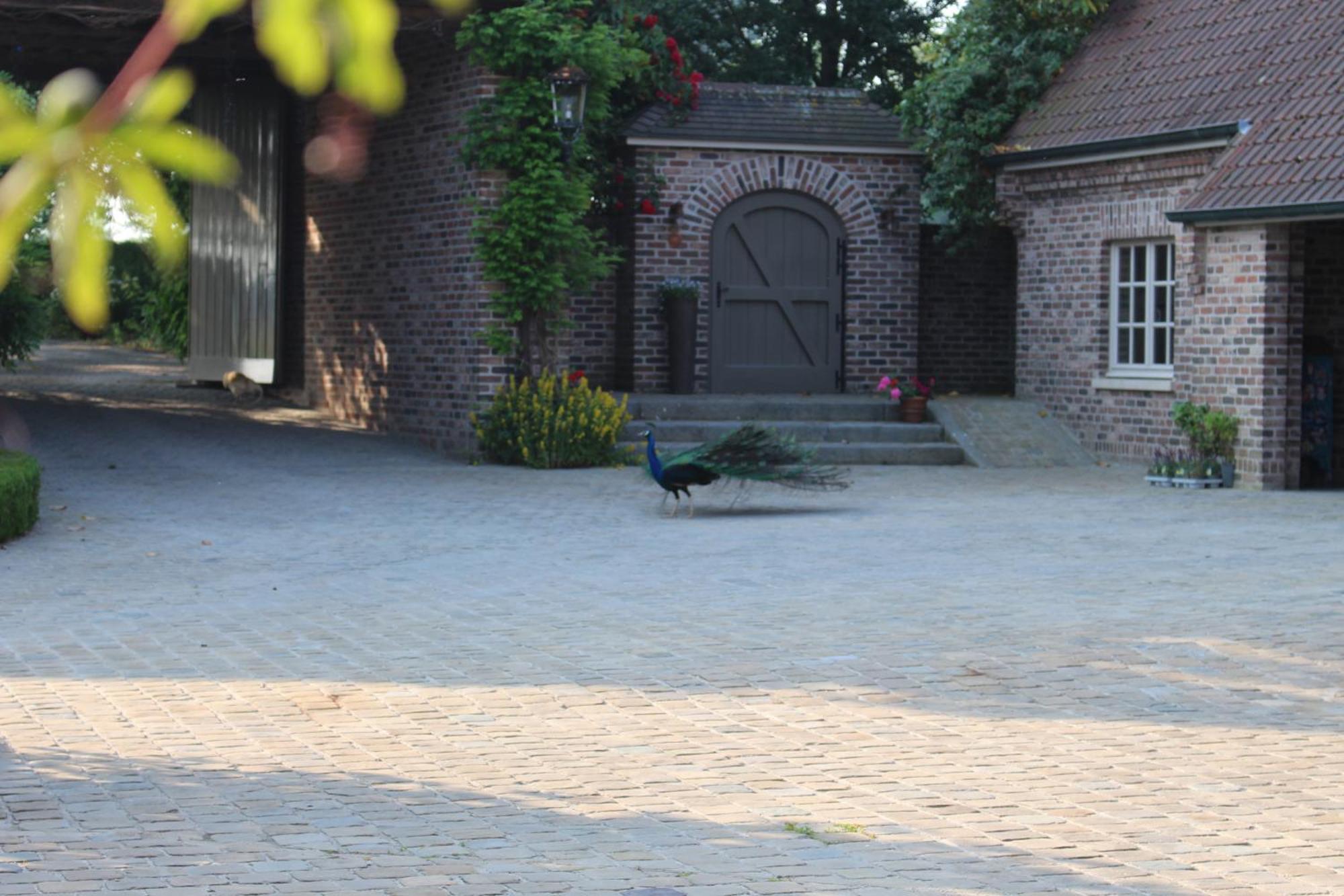 Imagine B&B Wortegem Exteriér fotografie