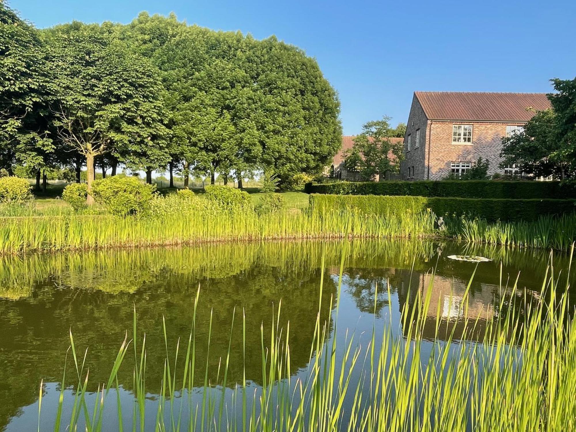 Imagine B&B Wortegem Exteriér fotografie